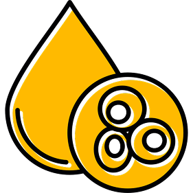 Om Gold Rice Bran Oil | High in Omega 3 & 6